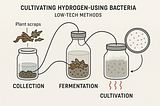 Solar Hydrogen to Food