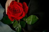 woman’s hand holding a red rose