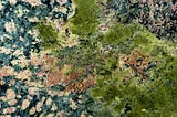 A close-up of green moss on a marble stone.