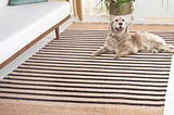 safavieh-natural-fiber-beige-black-6-ft-x-9-ft-striped-woven-area-rug-1