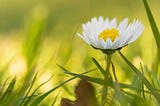 POETRY: RETROSPECTION