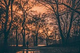 Dusky view of a wet path reflecting the surrounding trees and a person at the far end as if walking or heading towards the far lake in the distance. The more sepia ambiance makes it like a metaphor for looking soberly back into something in my re-examination of the flaws in my national identity from the events in 2020 and since.