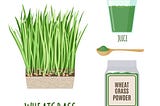 Antioxidant, Antimicrobial, Anti-inflammatory Properties of Wheatgrass