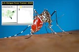 Dengue fever reported in Florida Keys in two locally acquired cases