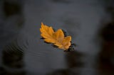 Adrift