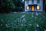 Home May Not Mean a Place