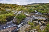 Holidays Near Dartmoor