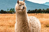 Notes on fine-tuning Llama 2 using QLoRA: A detailed breakdown