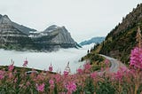 The Elders of Montana