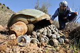 Stop Biden from Sending Cluster Bombs to Ukraine