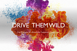 Drive Them Wild: The Principles of a Brand That Customers Obsess Over