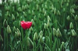 Be Unique And Express Your Individuality