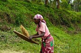 Gender transformative change critical for nurturing an equitable rice sector in Africa