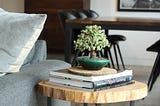 Why Bonsai is the Perfect New Hobby to Try During Coronavirus