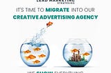 migrate into our creative advertising agency