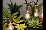 Plant-Light-Bulbs-1