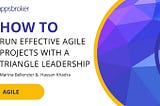 Run effective agile projects with a triangle leadership