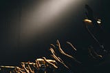 Don’t Believe Anything As Gospel