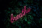 A pink neon sign that spells the word “breathe” laying in folliage