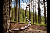 Hoyt-Recurve-Bow-1