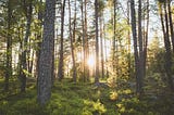 Deploying a MongoDB Replica set
