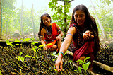 Fulfilling a planetary health agenda at COP15 requires addressing outstanding gaps in the Nagoya…