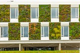 Modular building. For each square window ther is a square with suspended garden.