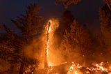 Severe wildfires burning 8 times more area in western U.S., study finds
