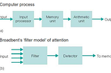 Human Memory, Machine Learning, and Overfitting