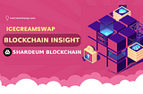 ICECREAMSWAP BLOCKCHAIN INSIGHT “SHARDEUM BLOCKCHAIN”.