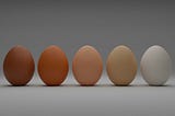 Five eggs sit upright against a grey background, their colours ranging from dark tan on the left to stark white on the right.
