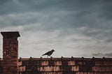 A black bird sits on a brick wall or the top of a house against a dark, cloudy sky.