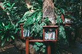 How to leave the Anthropocene — Fostering sustainability requires us to challenge our stories and…