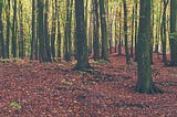 Humans on Earth: A Brief Ecological History