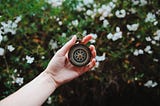 A hand holding up a compass with a tree in the backgroud.