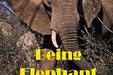 Being Elephant