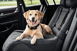 Dog-Car-Seats-1
