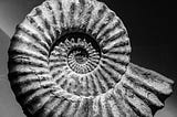 Humans and the Sixth Mass Extinction