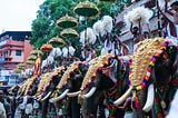 Caparisoned elephants ready for the temple festival