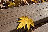Oak-Wood-1