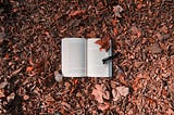 You Are the Protagonist of Your Life. So Why Don’t You Write Like It?