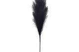 ashland-pampas-grass-stem-black-42-in-1