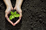 Earth Composting: A Sustainable Solution