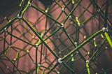 Visualize Your Twitter Network: A Circle Generator Guide