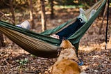 A person lays in a hammock in the forest with their golden retriever
