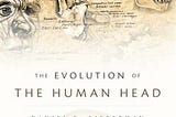 the-evolution-of-the-human-head-587860-1
