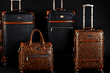 Steve-Madden-Luggage-1