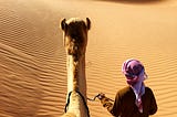 A camel walking through the desert