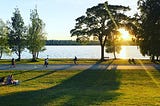 Public park with people walking and having picnics