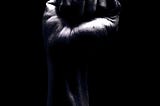 black and white photo of a raised fist